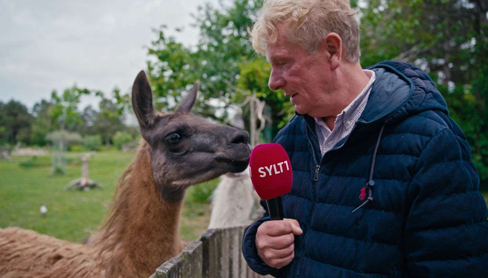 Der Tierpark Tinnum auf Sylt ist ein tolles Ausflugsziel! 10 Der Tierpark Tinnum auf Sylt ist ein tolles Ausflugsziel!