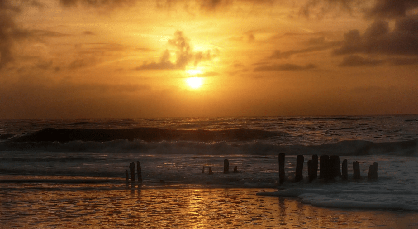 Wo das Meer den Takt angibt: Magische Sommerabende beim Wenningstedter KliffKlang 8 Wo das Meer den Takt angibt: Magische Sommerabende beim Wenningstedter KliffKlang