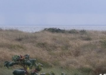 Wasser im Rathaus, Strom aus - Kursaal nicht betroffen 100 Wasser im Rathaus, Strom aus - Kursaal nicht betroffen