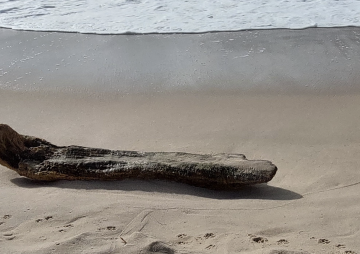 Sylt am Wochenende: Kunst, Kaviar und ein letzter Blick auf Ai Weiwei