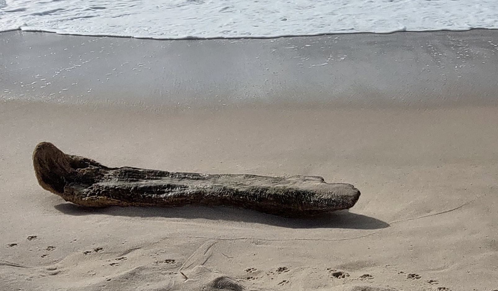 Sylt am Wochenende: Kunst, Kaviar und ein letzter Blick auf Ai Weiwei 4 Sylt am Wochenende: Kunst, Kaviar und ein letzter Blick auf Ai Weiwei