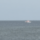 Kiterin in Seenot vor List