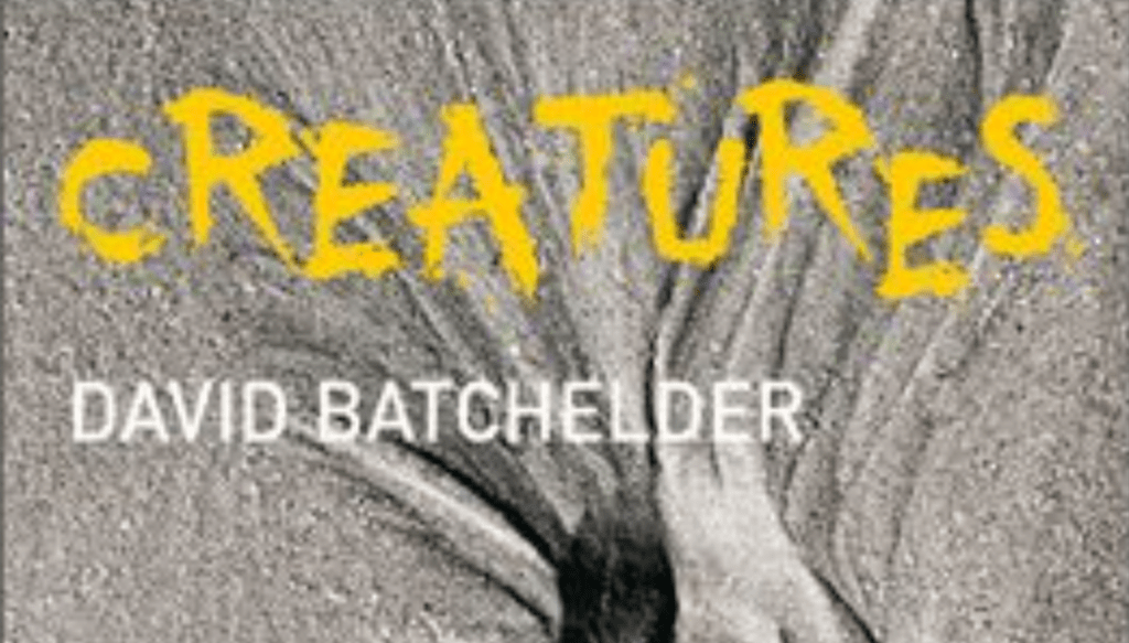 Creatures: Das Sylt Museum eröffnet eine Ausstellung über das Verborgene