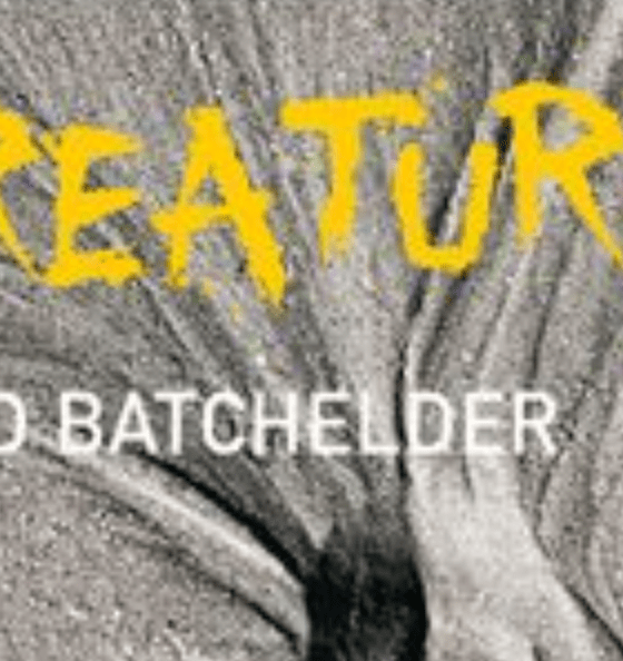 Creatures: Das Sylt Museum eröffnet eine Ausstellung über das Verborgene