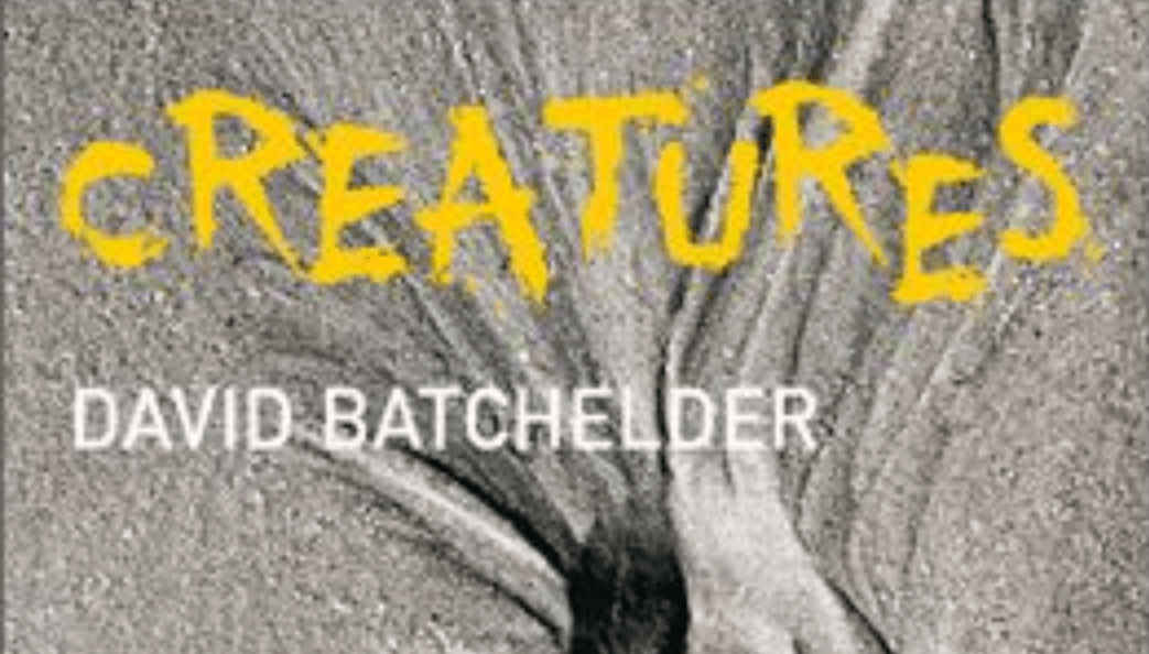 Creatures: Das Sylt Museum eröffnet eine Ausstellung über das Verborgene 6 Creatures: Das Sylt Museum eröffnet eine Ausstellung über das Verborgene