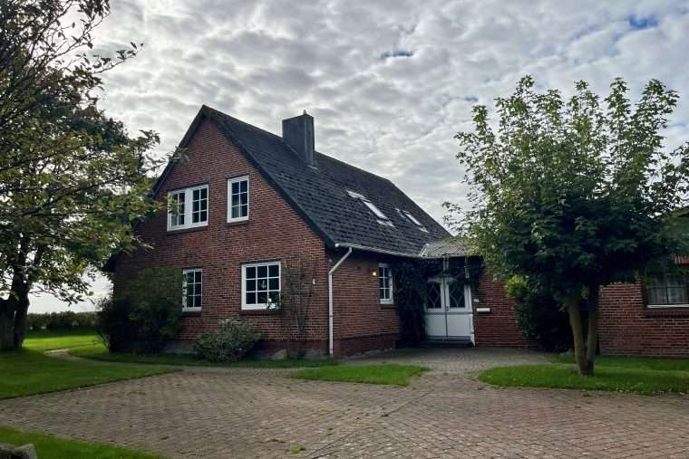 Neue Reiter gesucht: Gemeinde Sylt schreibt den Pferdehof Tinnum aus