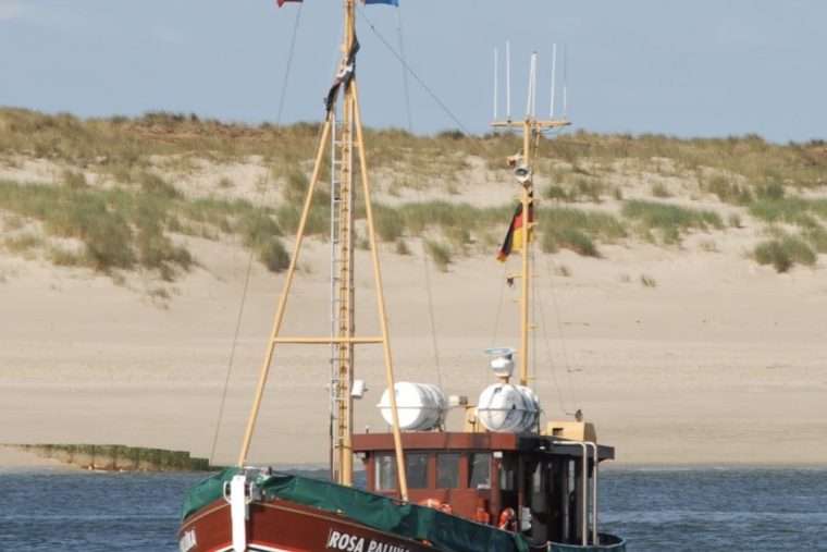 Fischereifreie Zonen im Wattenmeer: WWF will Tidebecken bei Sylt schützen – Krabbenfischer warnen