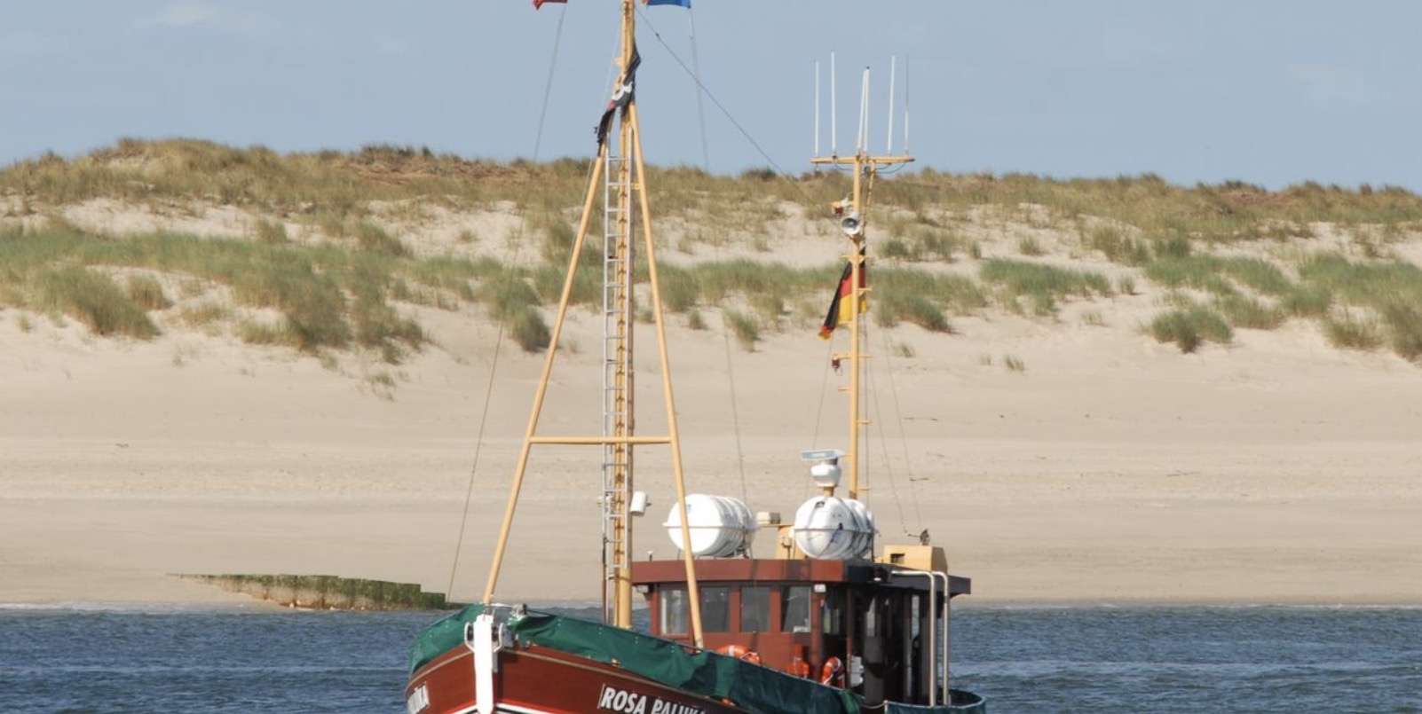 Fischereifreie Zonen im Wattenmeer: WWF will Tidebecken bei Sylt schützen – Krabbenfischer warnen