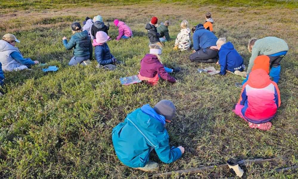 Cranberries sammeln für den Naturschutz