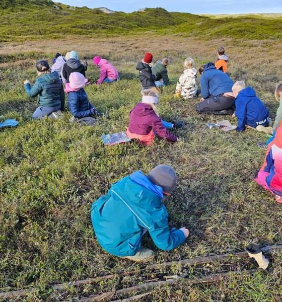 Cranberries sammeln für den Naturschutz
