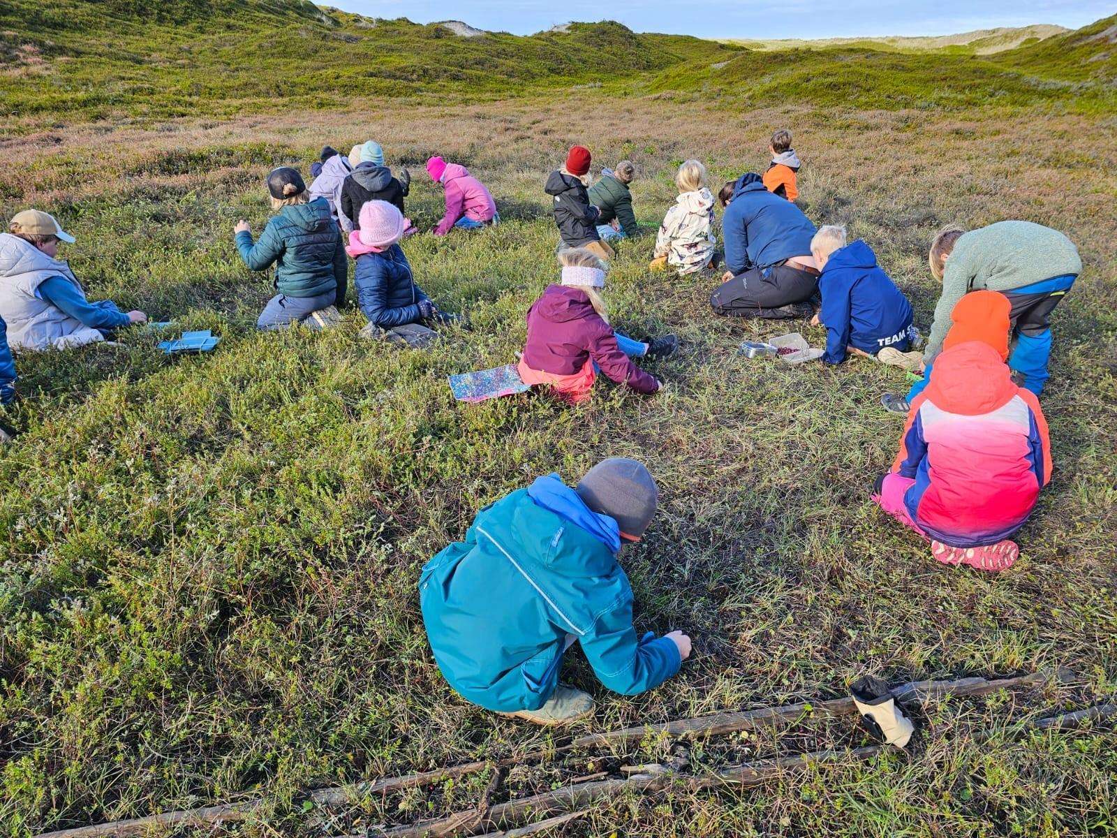 Cranberries sammeln: Naturschutz, bei dem man etwas mitnehmen darf 7 Cranberries sammeln für den Naturschutz