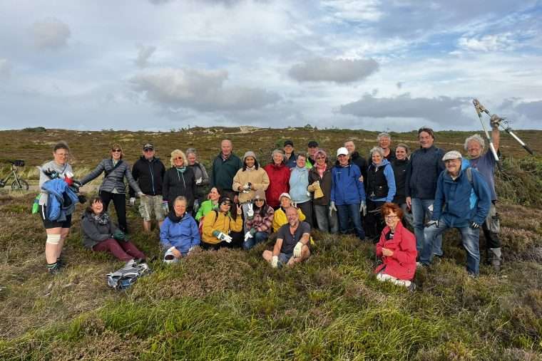 Entkusseln statt Strandkorb: Urlauber packen in der Sylter Heide mit an 2 Die Teilnehmenden des Voluntourismus-Seminars sitzen in der Sylter Heide