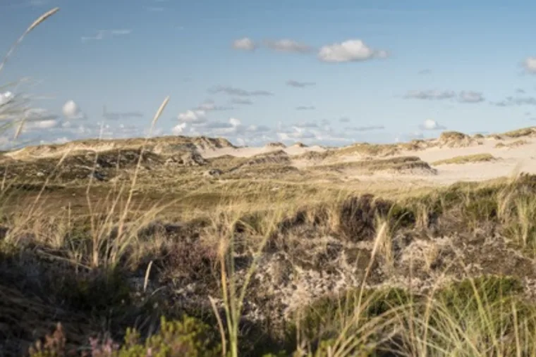 Älter als die Pyramiden: Sechs Kraftorte auf Sylt 1 Kraftorte auf Sylt