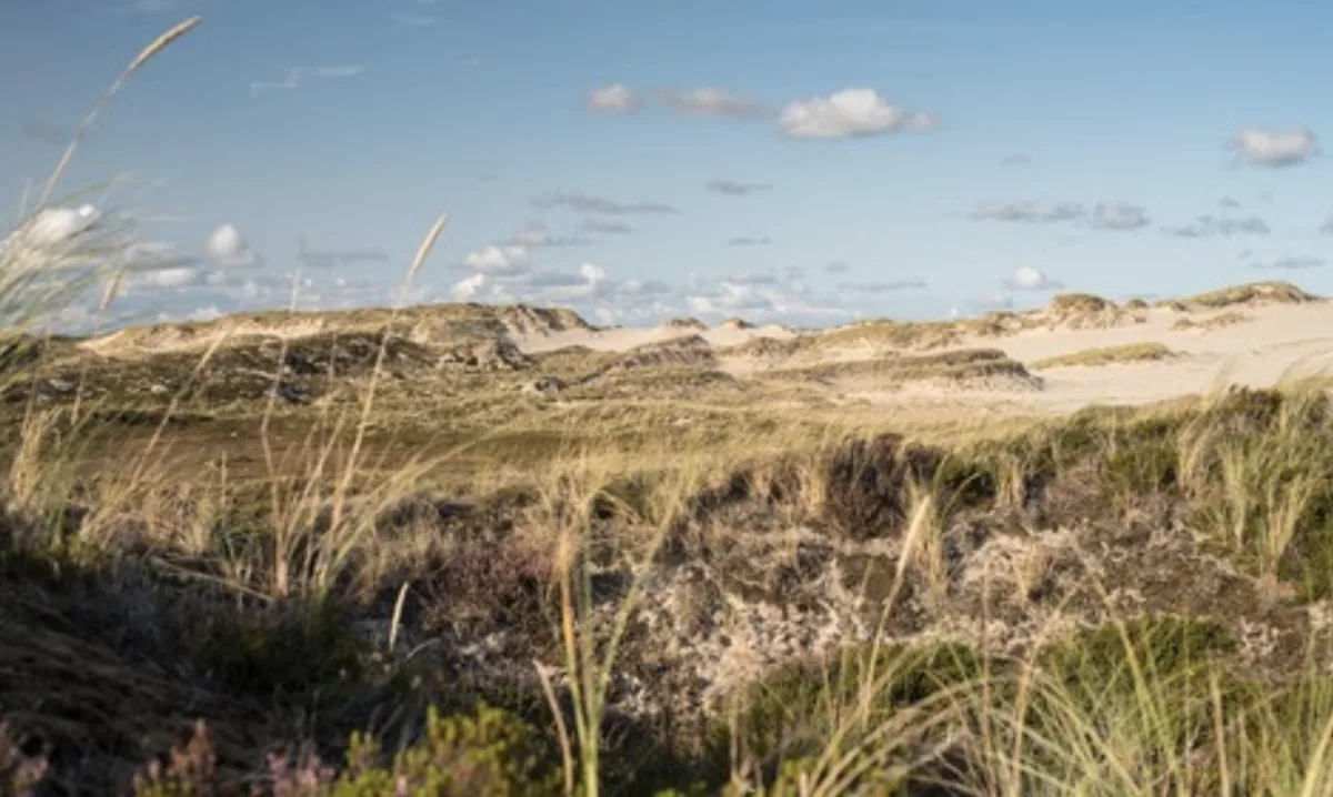 Kraftorte auf Sylt