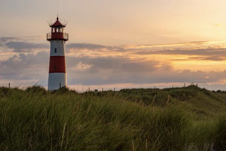 Gesucht: Chefin oder Chef für eine ganze Insel. Abendsitzungen inklusive 32 Gesucht: Chefin oder Chef für eine ganze Insel. Abendsitzungen inklusive