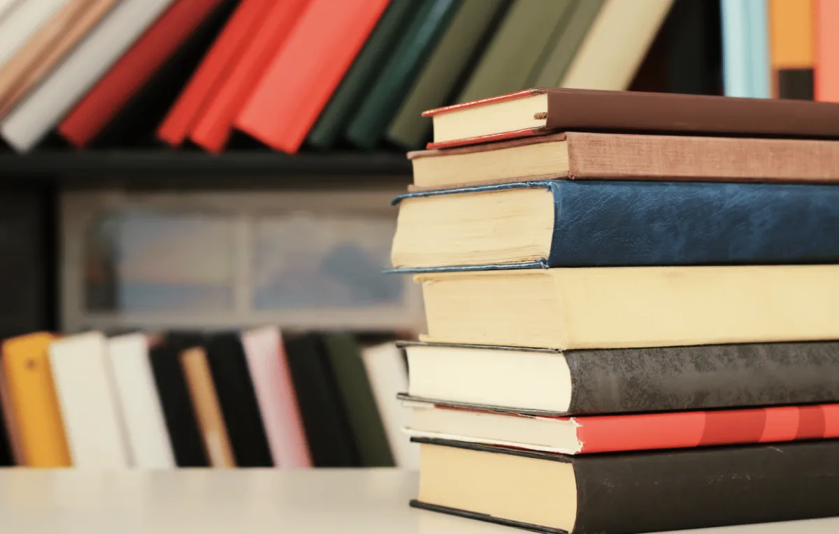Bücherflohmarkt in der Sylt Bibliothek: Lesestoff für 99 Cent