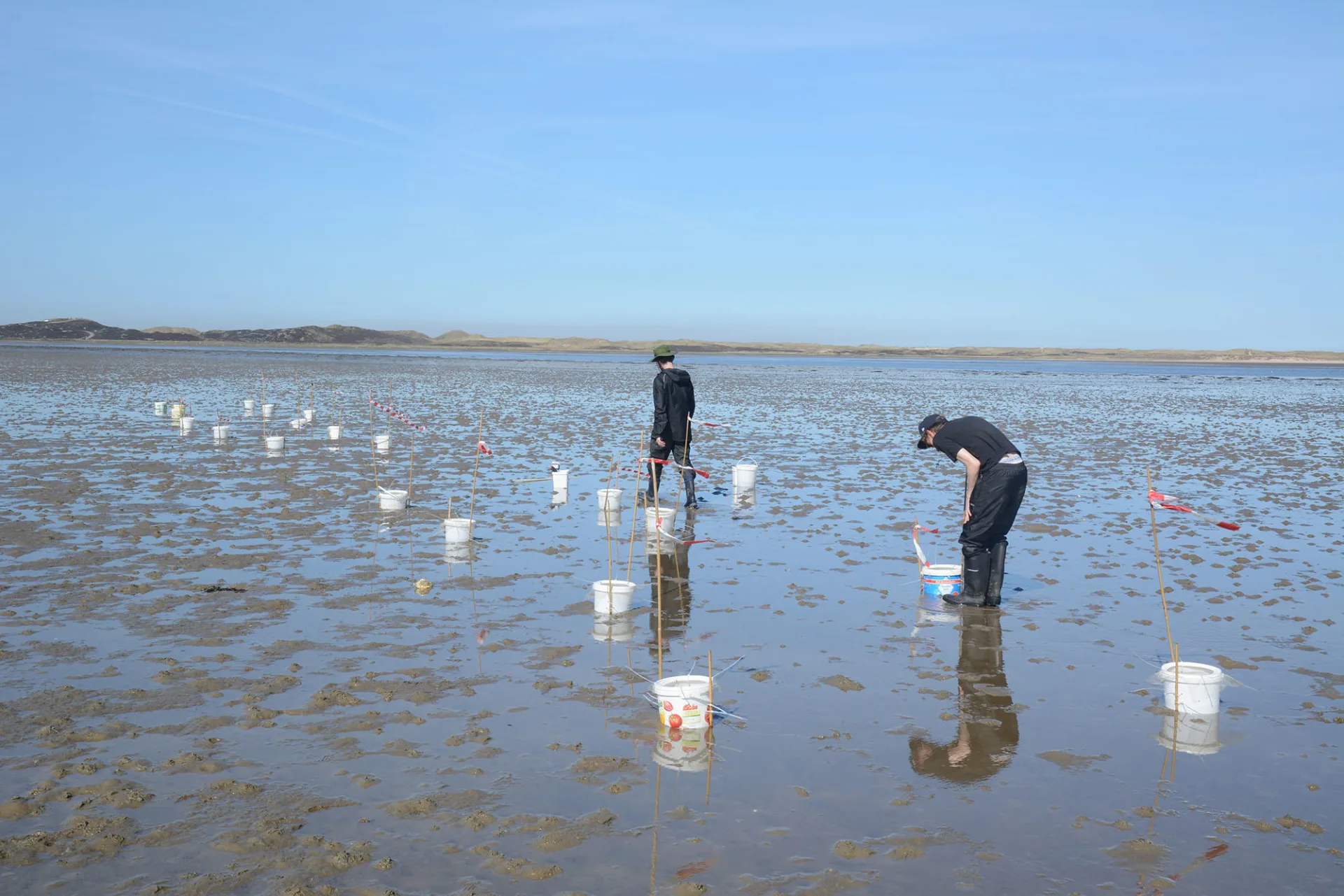 Studierende kontrollieren Probeneimer im Wattenmeer vor Sylt