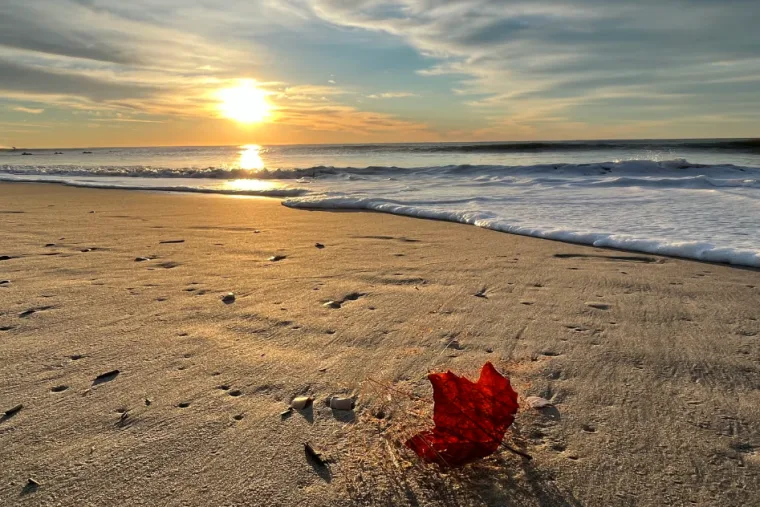 Wenn auf Sylt die Strandkörbe auf Reisen gehen 56 herbst auf sylt