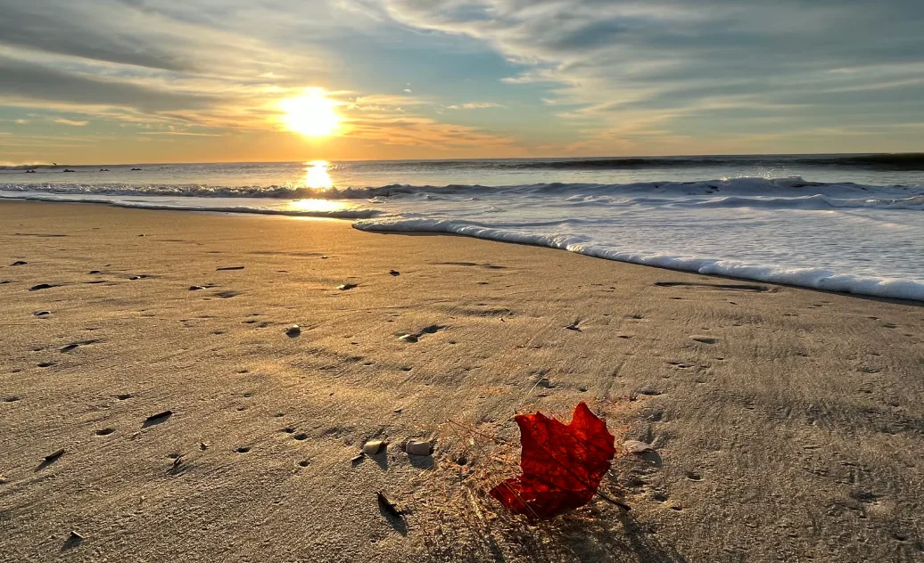 herbst auf sylt