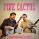 Pink Cactus & Friends“: Musik-Highlight im Rathauspark am 4. Juli