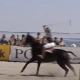 Polo auf Sylt 2025