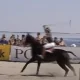 Polo auf Sylt 2025