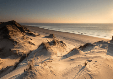Sylt erhöht Kurtaxe um 20 Cent – Turbulenzen bei den Klatschmöwen!