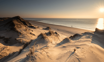 Sylt erhöht Kurtaxe um 20 Cent – Turbulenzen bei den Klatschmöwen!