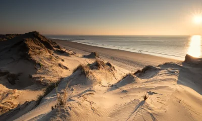 Sylt erhöht Kurtaxe um 20 Cent – Turbulenzen bei den Klatschmöwen!