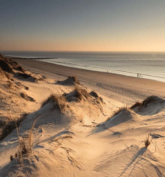 Sylt erhöht Kurtaxe um 20 Cent – Turbulenzen bei den Klatschmöwen!