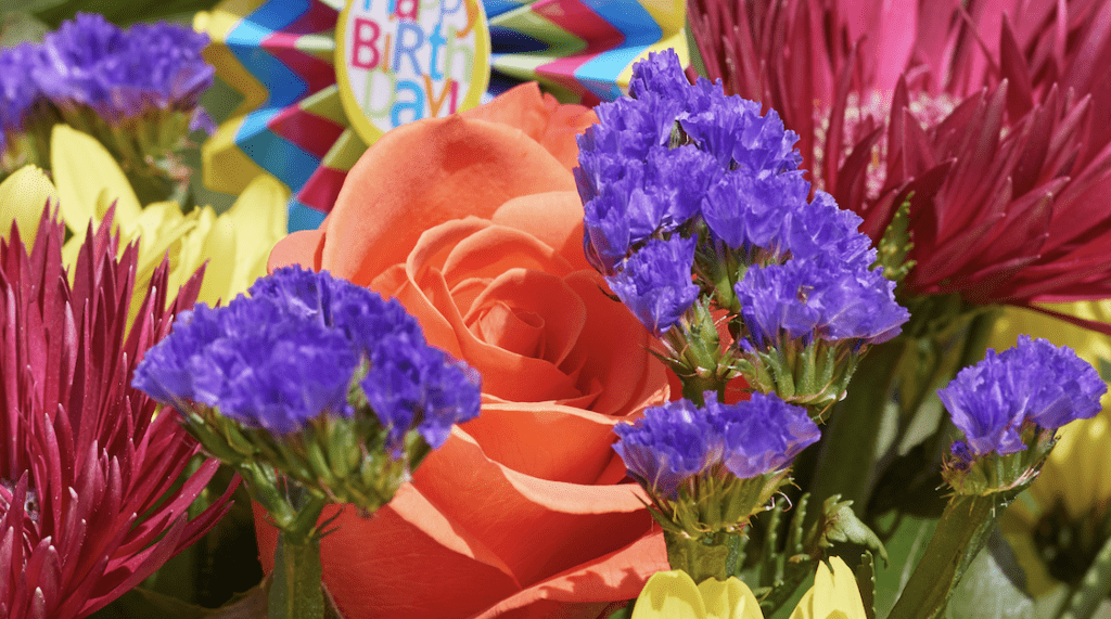 Blühende Zukunft für Westerland: Sylter Unternehmer schenken Pflanzkübel im Wert von 80.000 Euro