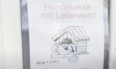 Wir testen Hundekekse vom Baakdeel in Westerland