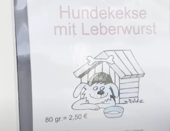 Wir testen Hundekekse vom Baakdeel in Westerland