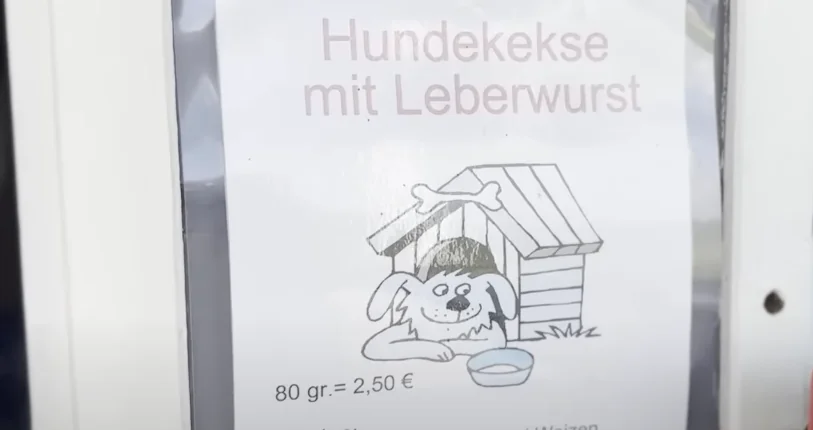 Wir testen Hundekekse vom Baakdeel in Westerland