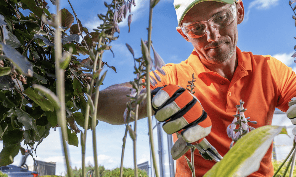 Petition zum Erhalt der Blumenkübel auf Sylt