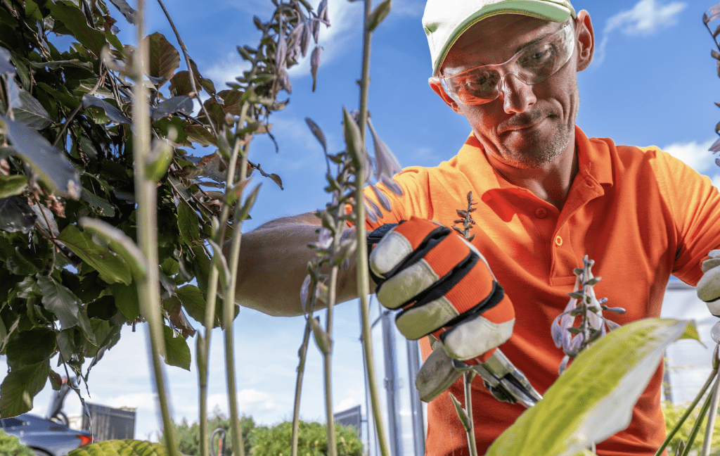 Petition zum Erhalt der Blumenkübel auf Sylt