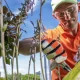 Petition zum Erhalt der Blumenkübel auf Sylt