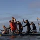 Nach Schlaganfall: Carlotta geht Surfen - Danke Leute!