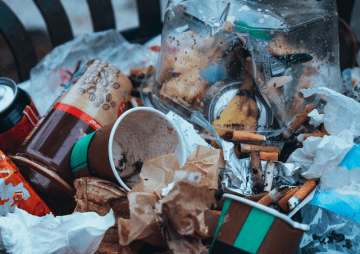 Große Aktion für die Umwelt auf Sylt: Inselweite Strandreinigung zum Coastal Cleanup Day