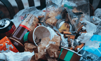 Große Aktion für die Umwelt auf Sylt: Inselweite Strandreinigung zum Coastal Cleanup Day