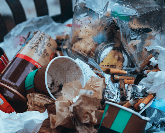 Große Aktion für die Umwelt auf Sylt: Inselweite Strandreinigung zum Coastal Cleanup Day