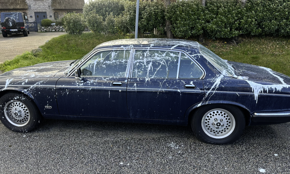 Feiger Anschlag auf Klassiker: Wertvoller Jaguar in Morsum auf Sylt mit Kunstharzfarbe attackiert