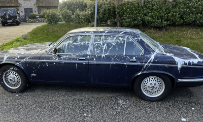 Feiger Anschlag auf Klassiker: Wertvoller Jaguar in Morsum auf Sylt mit Kunstharzfarbe attackiert