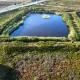 Rarität auf Sylt: Historische Vogelkoje steht zur Auktion