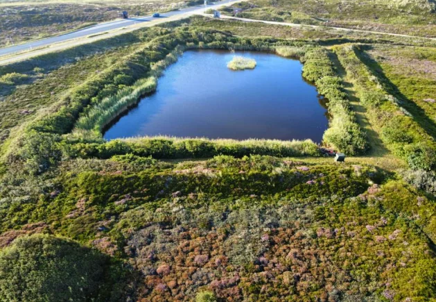 Rarität auf Sylt: Historische Vogelkoje steht zur Auktion 228 Rarität auf Sylt: Historische Vogelkoje steht zur Auktion