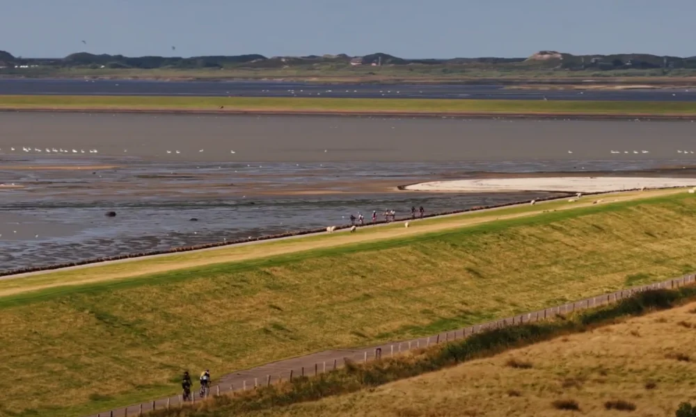 Mit Video - Run ums Rantumbecken: Lauf-Event mit Windstärke 8 als Sieger 221 Run ums Rantumbecken: Lauf-Event mit Windstärke 8 als Sieger