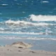 Das Logbuch der Sehnsucht: Eine Reise zu den 20 wahren Herzstücken von Sylt
