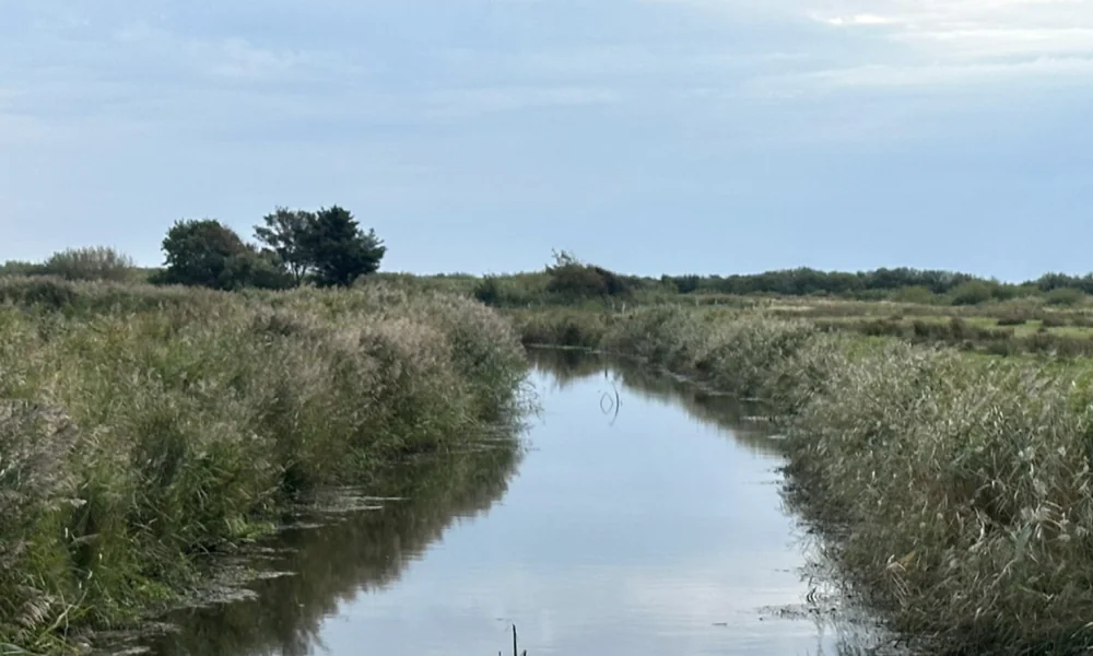 Die unsichtbare Mauer: Das Siel – Sylts Kampf gegen die Flut