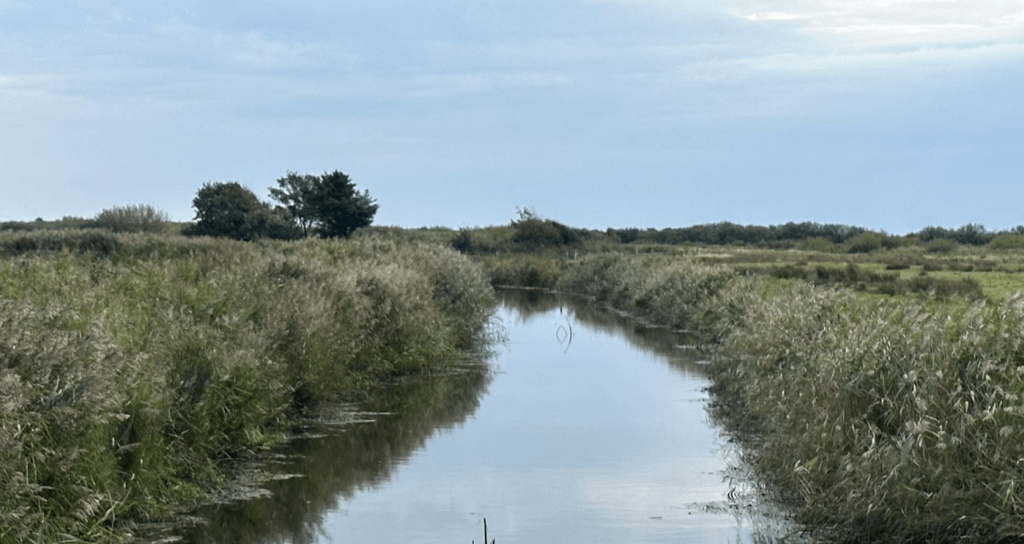 Die unsichtbare Mauer: Das Siel – Sylts Kampf gegen die Flut