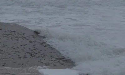 Die Sylter Metamorphose: Wenn die Insel ihren Pulsschlag drosselt 56 Die Sylter Metamorphose: Wenn die Insel ihren Pulsschlag drosselt